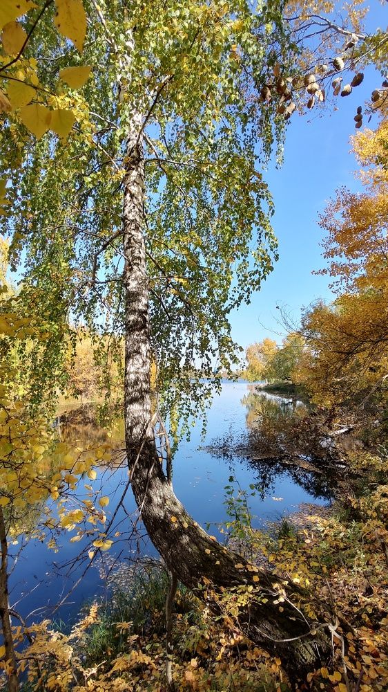 Краски Осени