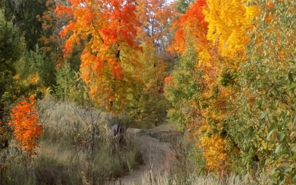 Photograph by Серега Вартман