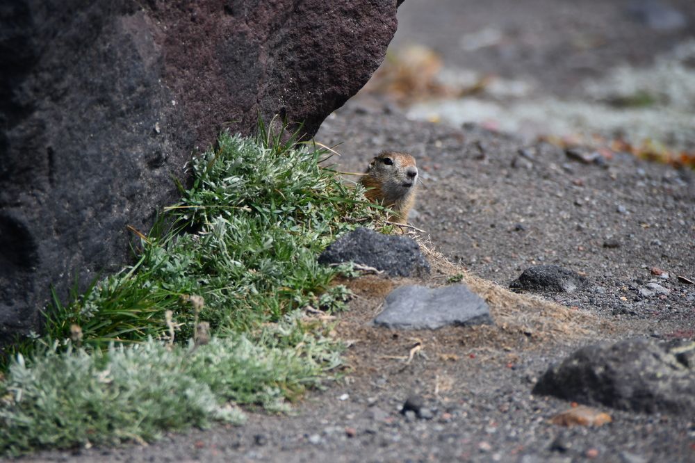 Photograph by Антон Шпак