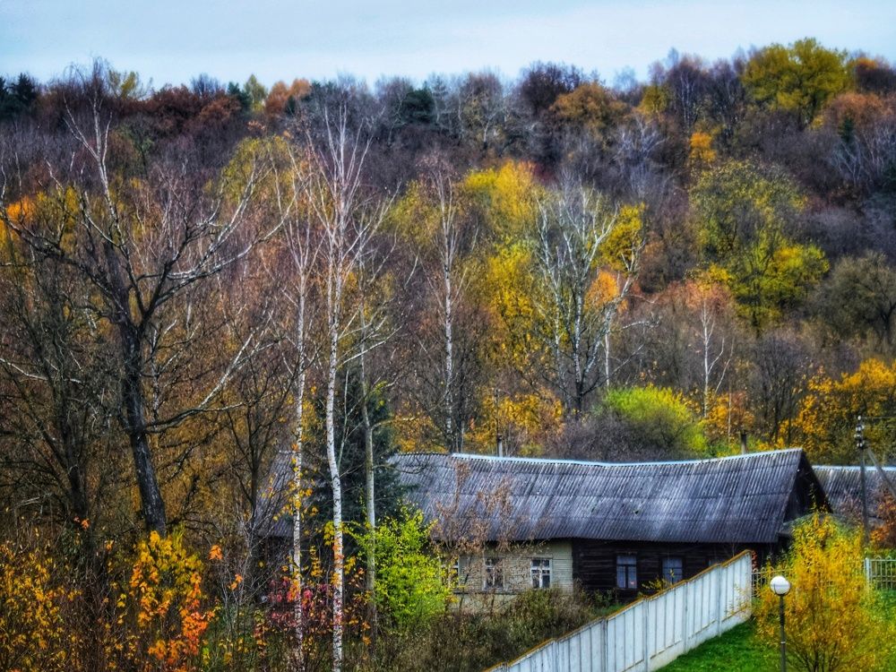 За окном больницы
