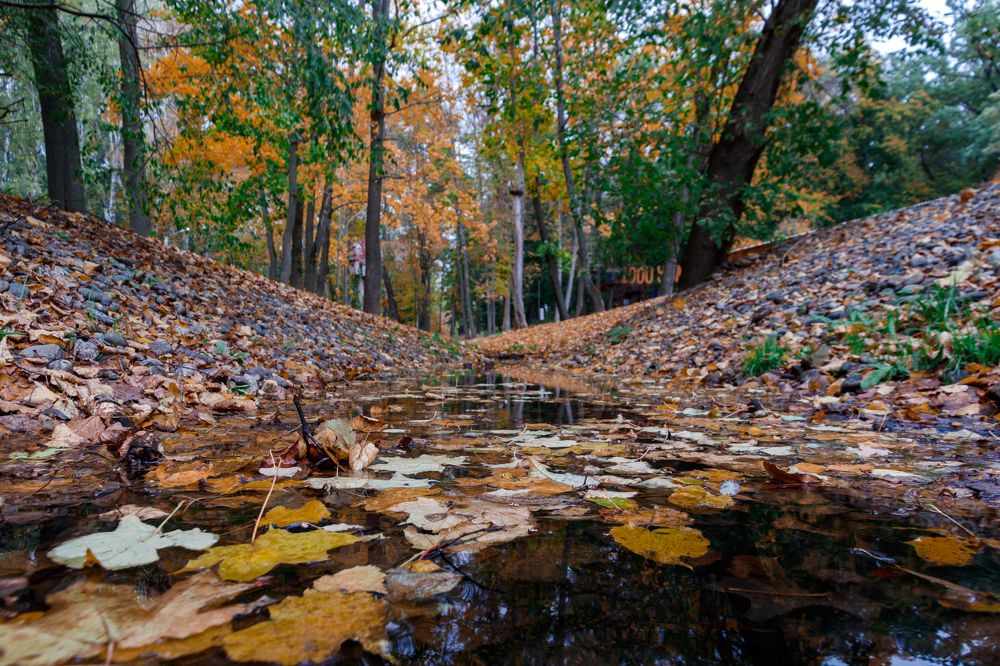 Photograph by Дмитрий Тимин