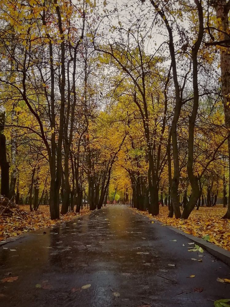 Photograph by Екатерина Чижевская