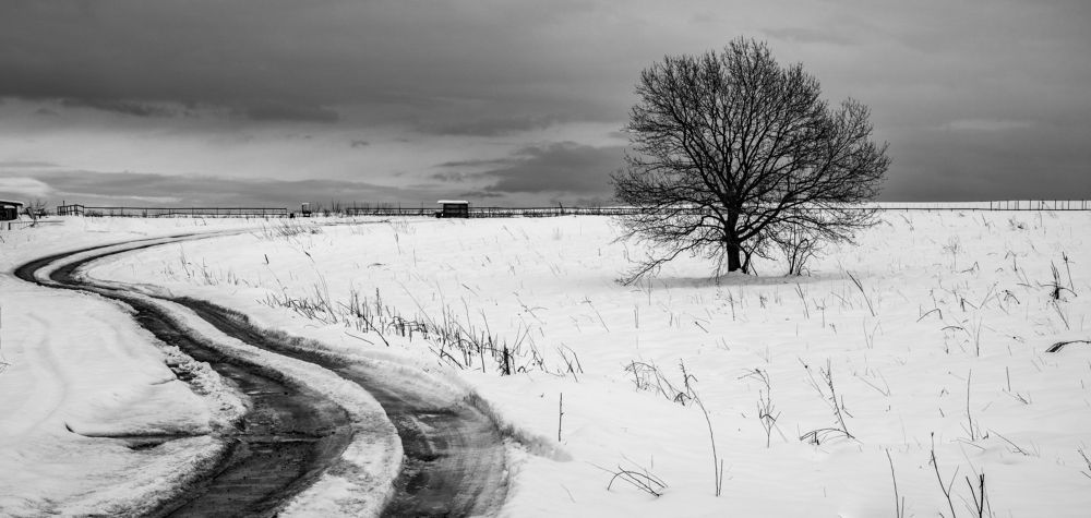 Photograph by Роман