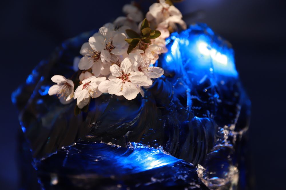 Photograph by Анна Малютина