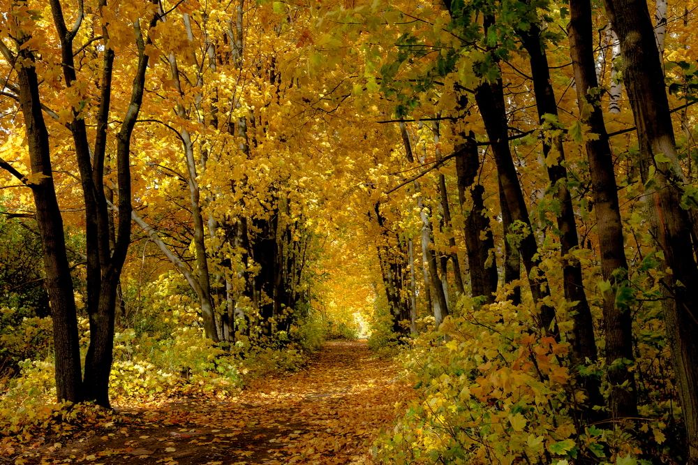 Photograph by Юрий Морозов