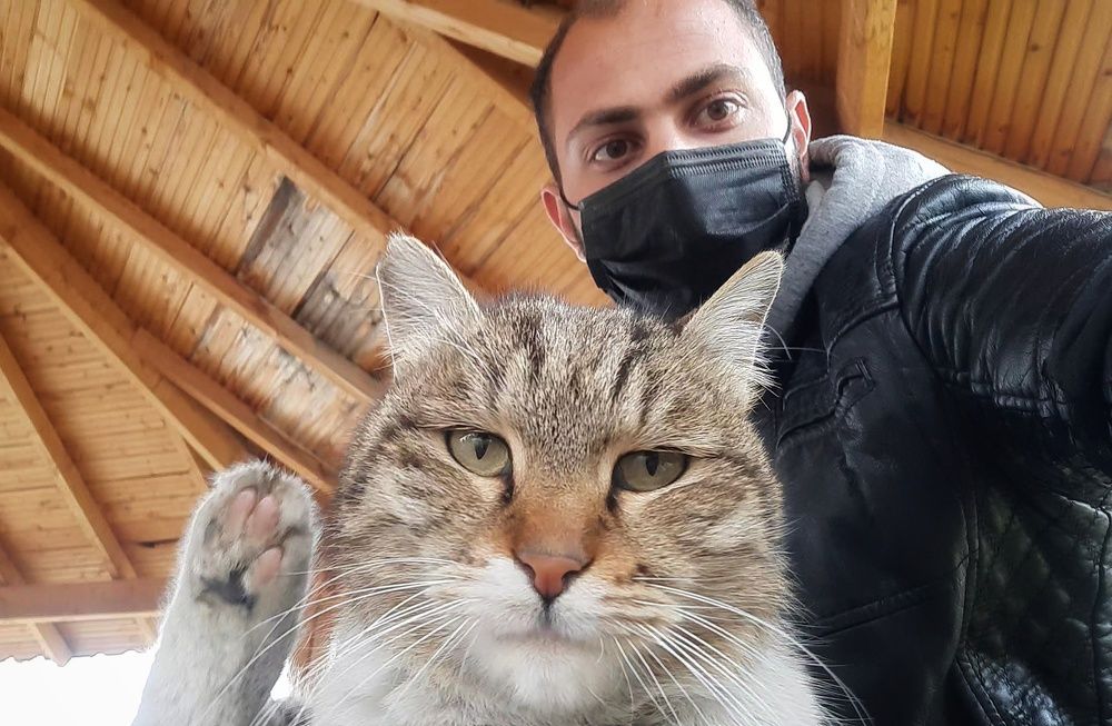 Фотография автора Mahdi Hosseini Kia