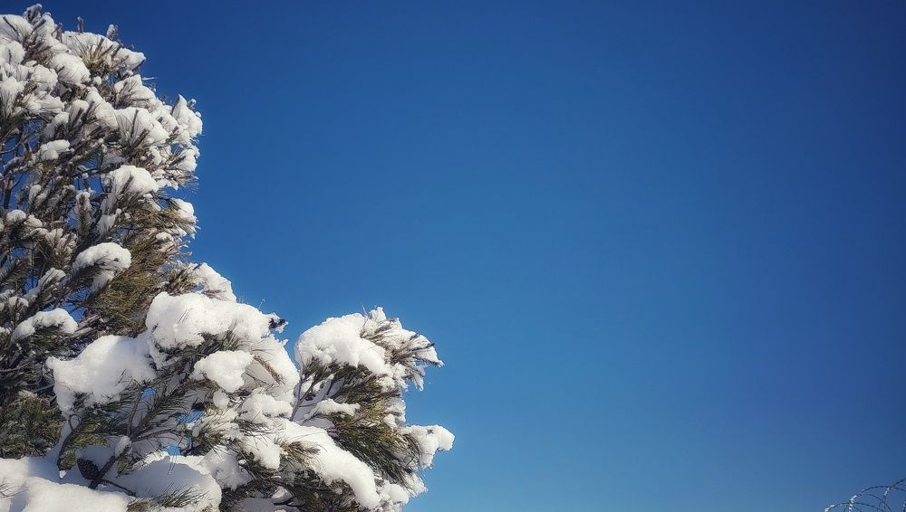 Фотография автора Mahdi Hosseini Kia