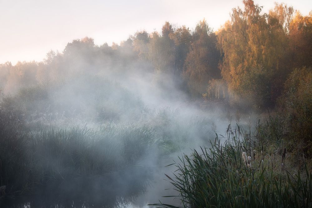 Фотография автора Анастасия
