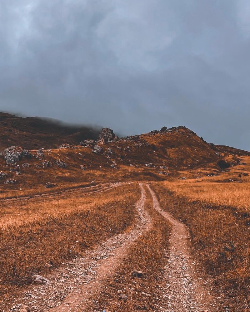 Photograph by Кирилл Левицкий