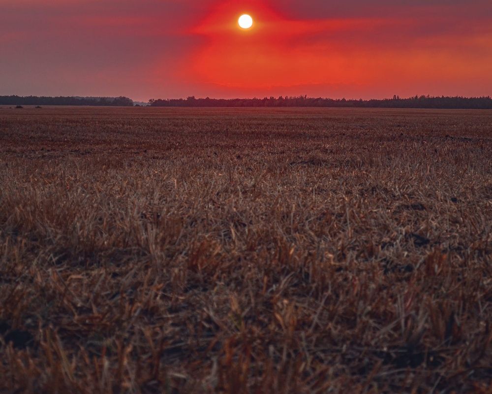 Photograph by Артём Зелюкин