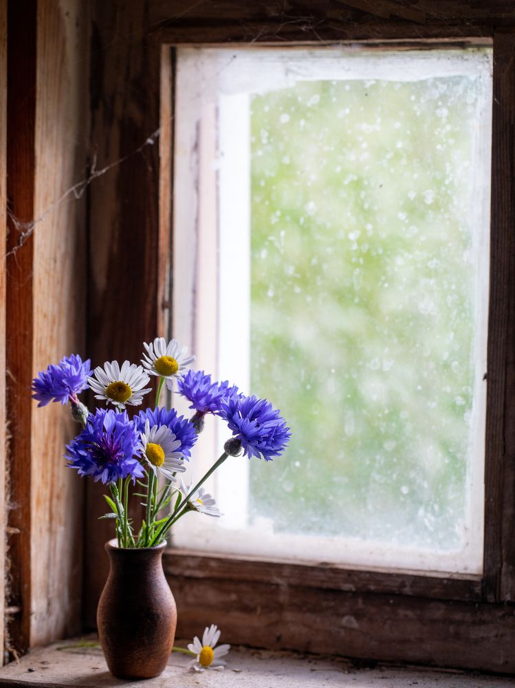 Photograph by Людмила Аксенова