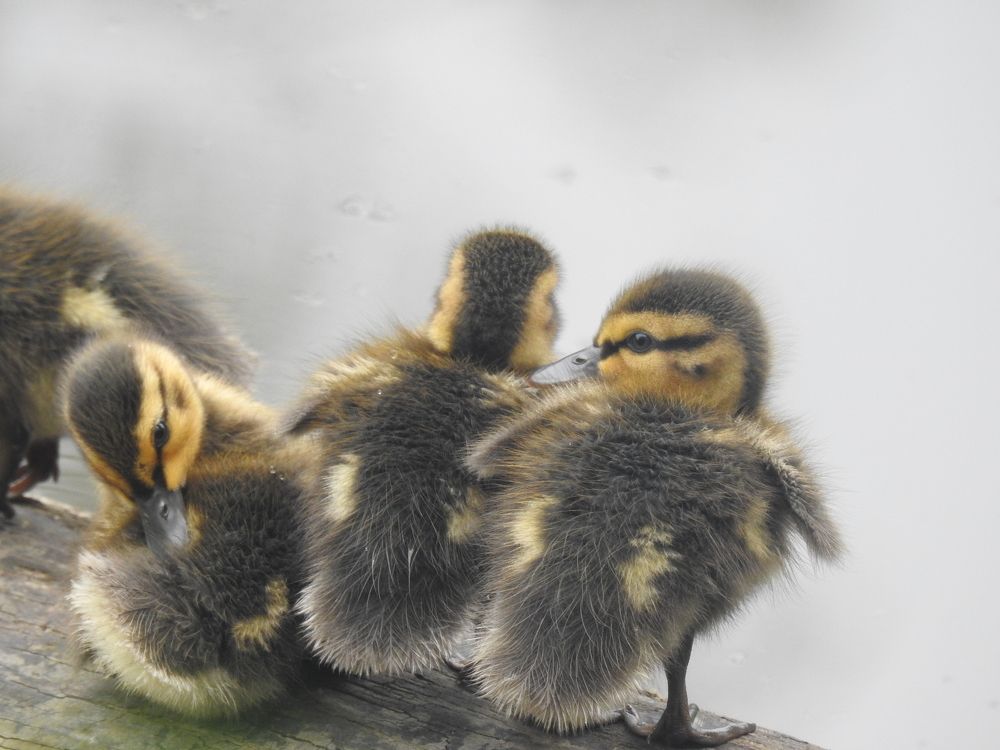 Photograph by Георгий Салюков