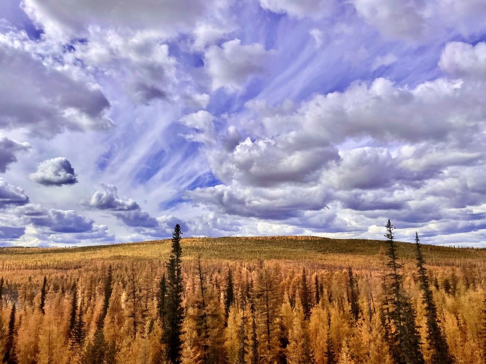 Photograph by Тимур Жилкибаев