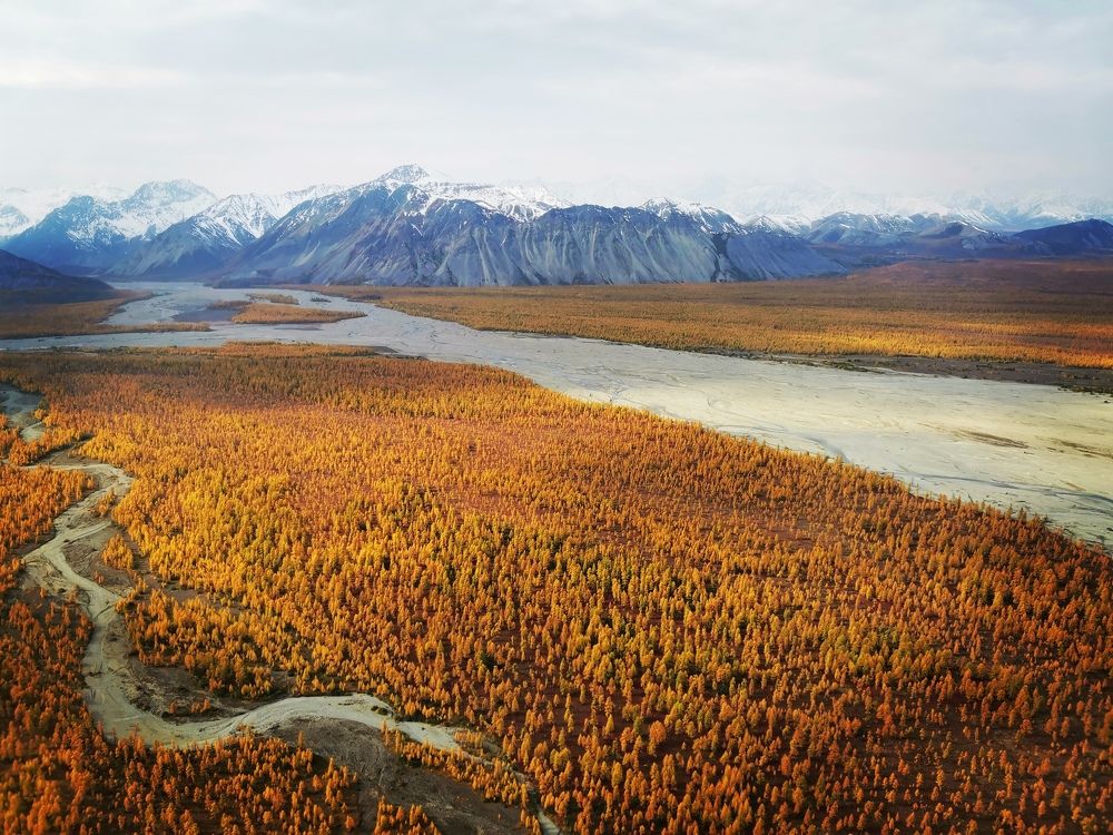 Photograph by Тимур Жилкибаев