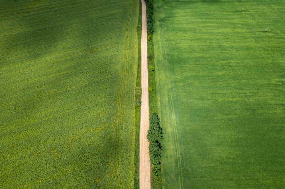 Viaskovaja daroha, Vilejščyna, Biełaruś