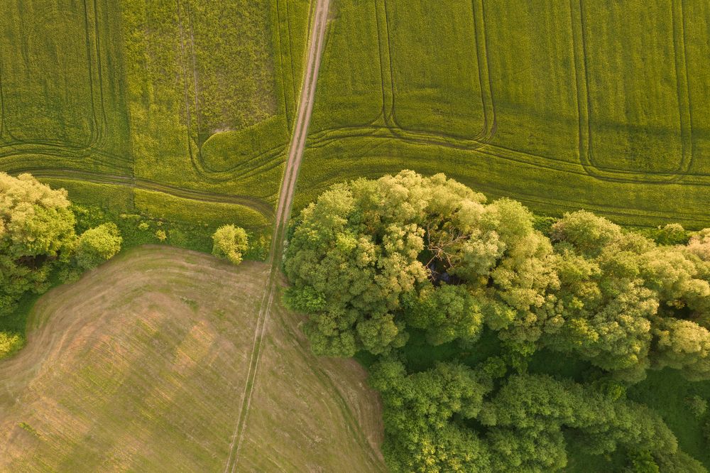 Photograph by Павел