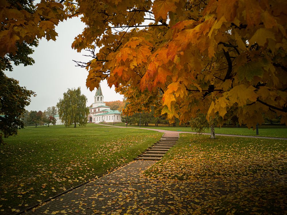 Photograph by Ekaterina Narozhnova