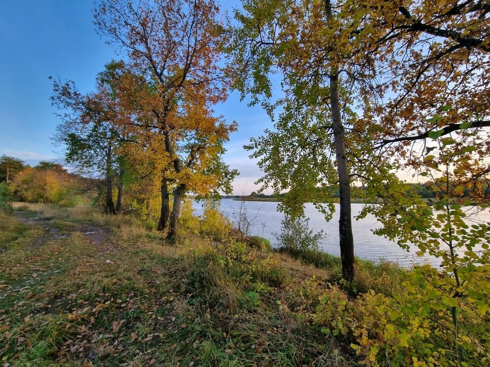 Photograph by Сергей Шубин