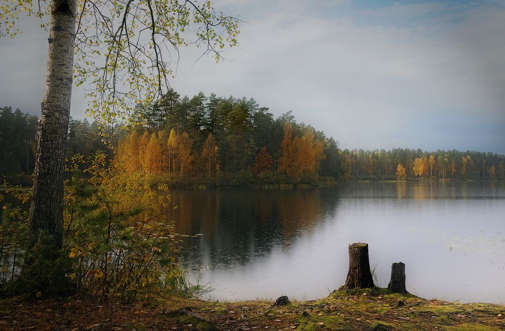 Фотография автора Вера Петри