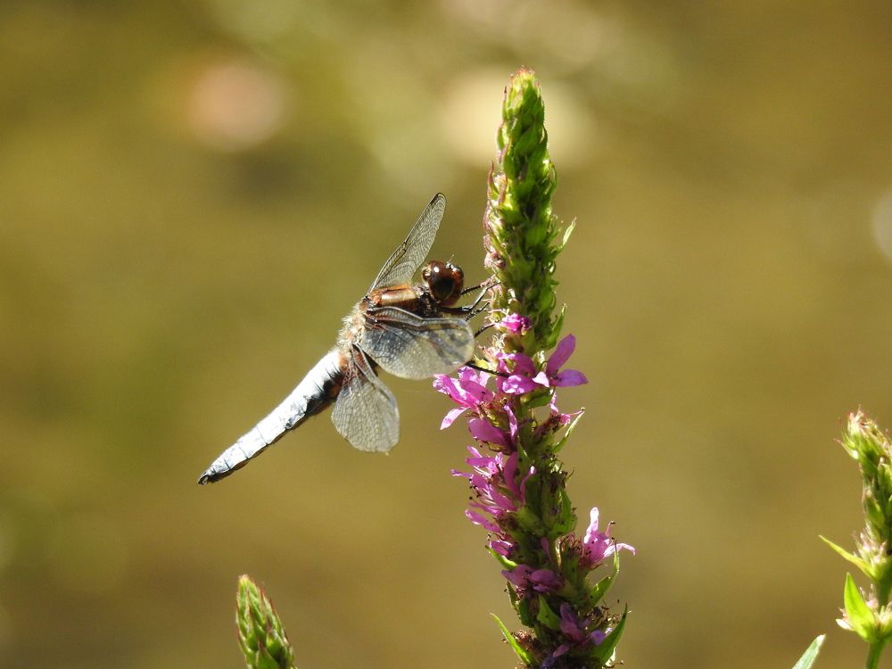 Photograph by Георгий Салюков
