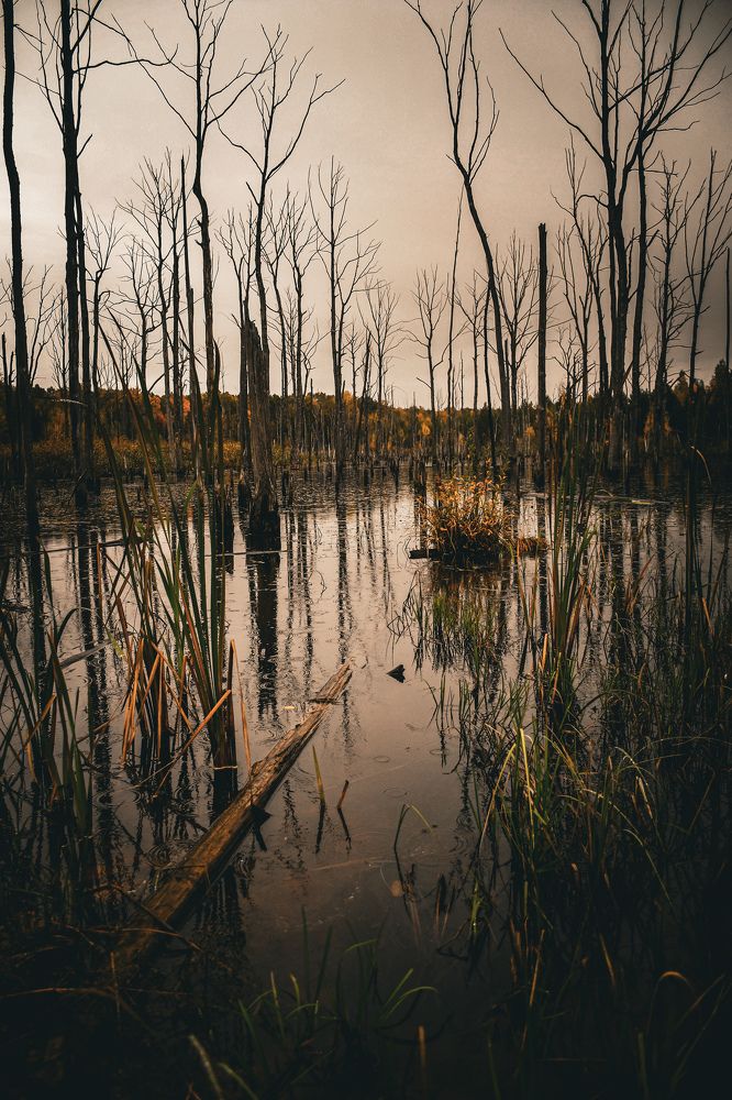 Мёртвое озеро