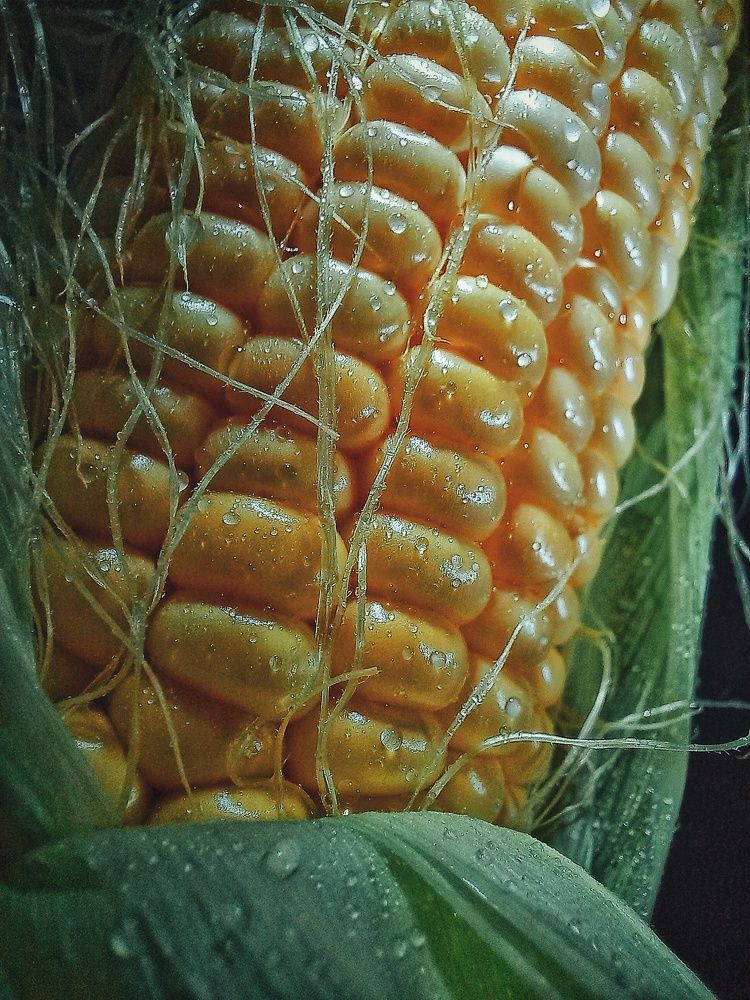 Photograph by Марина