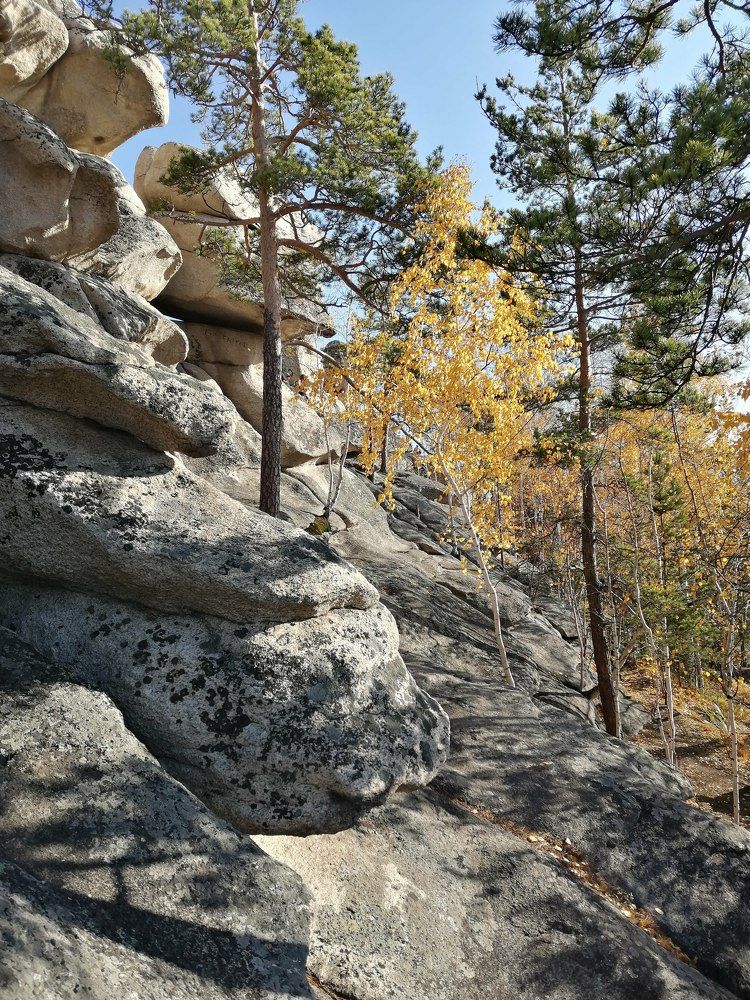Фотография автора Юлия Лубкина