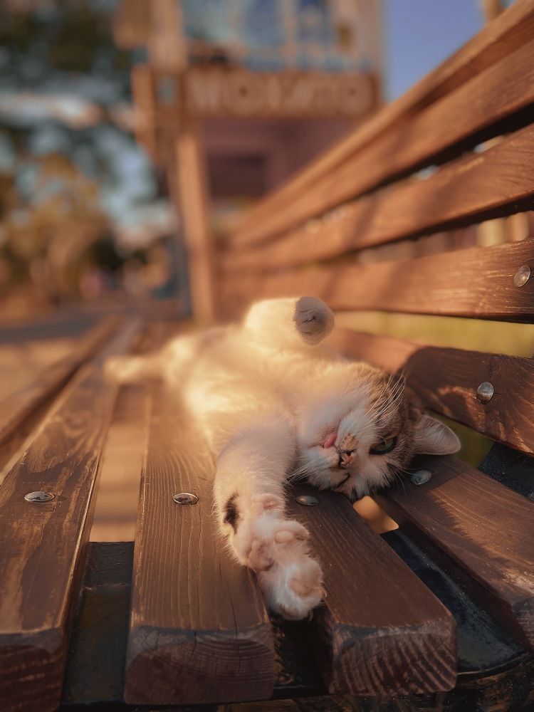 Photograph by Ксения Хачатурова