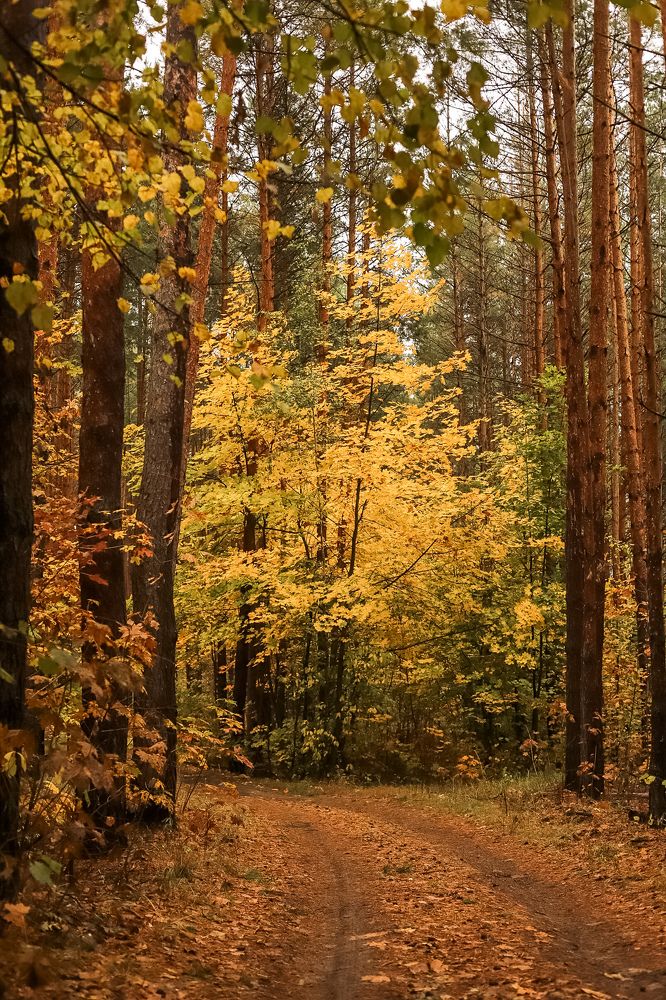 Photograph by Татьяна Белевцова