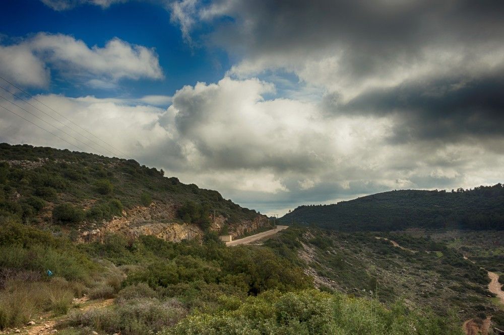 Photograph by Людмила Бутова