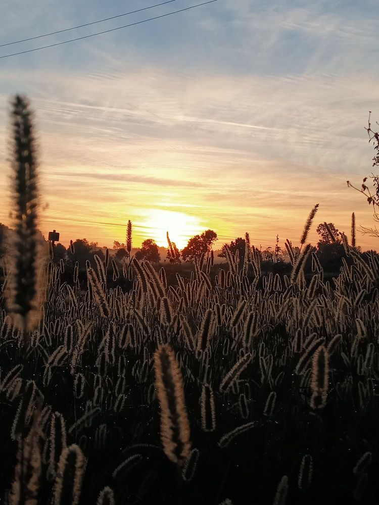 Photograph by Marijana Dragosavljevic