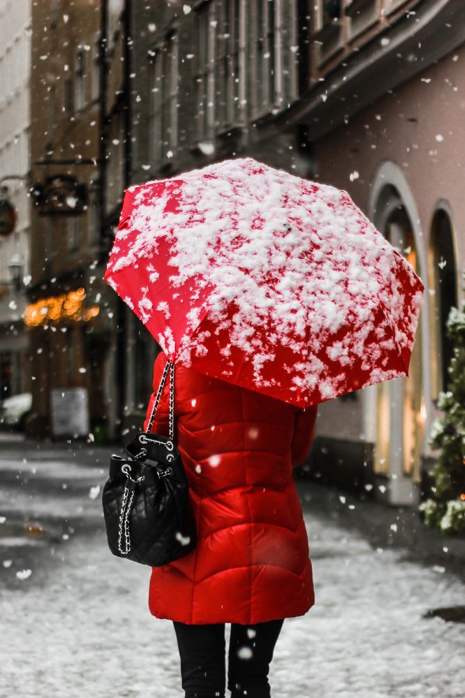 Фотография автора Мария Сурмачева