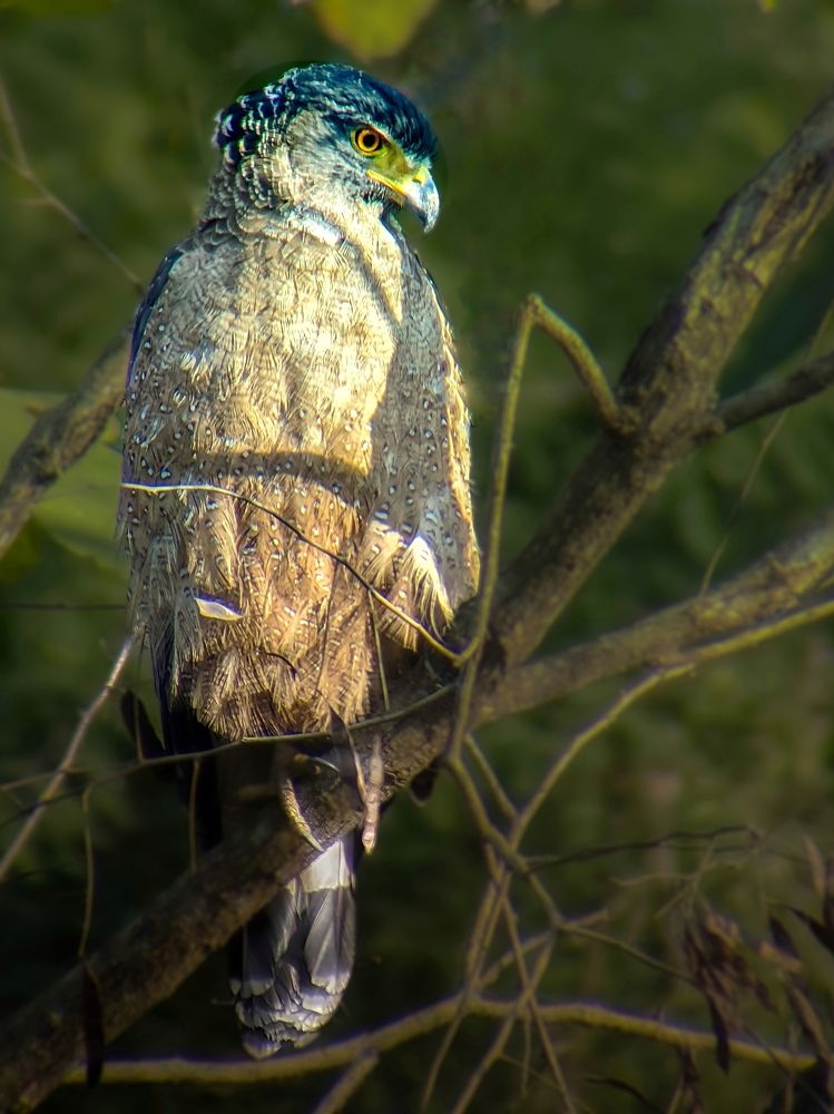 Photograph by Jairam Pathak