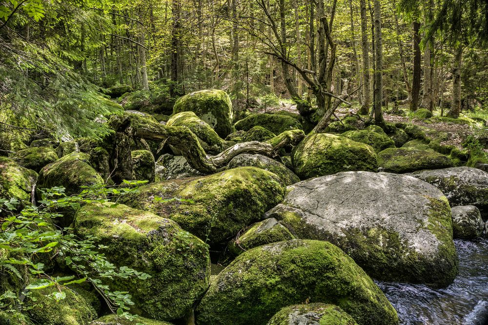 Фотография автора Milena Ivanova