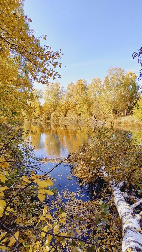 Осенние зарисовки