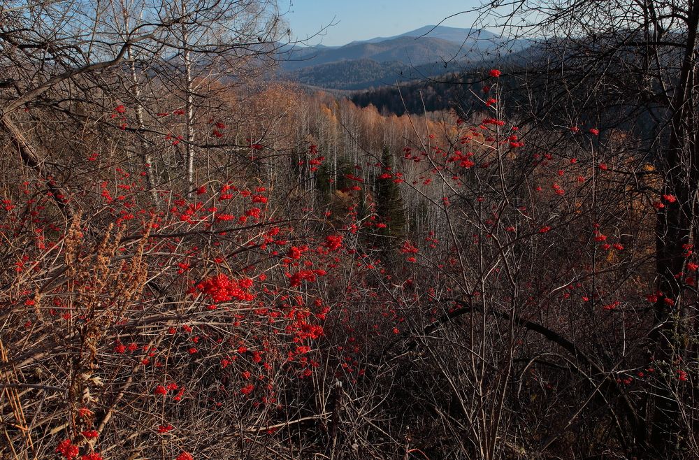 Photograph by Александр Полюдов