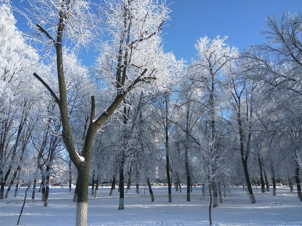 Зимние улицы