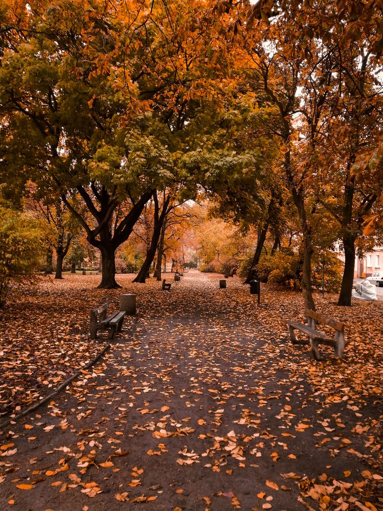 Photograph by Ирина Шпак