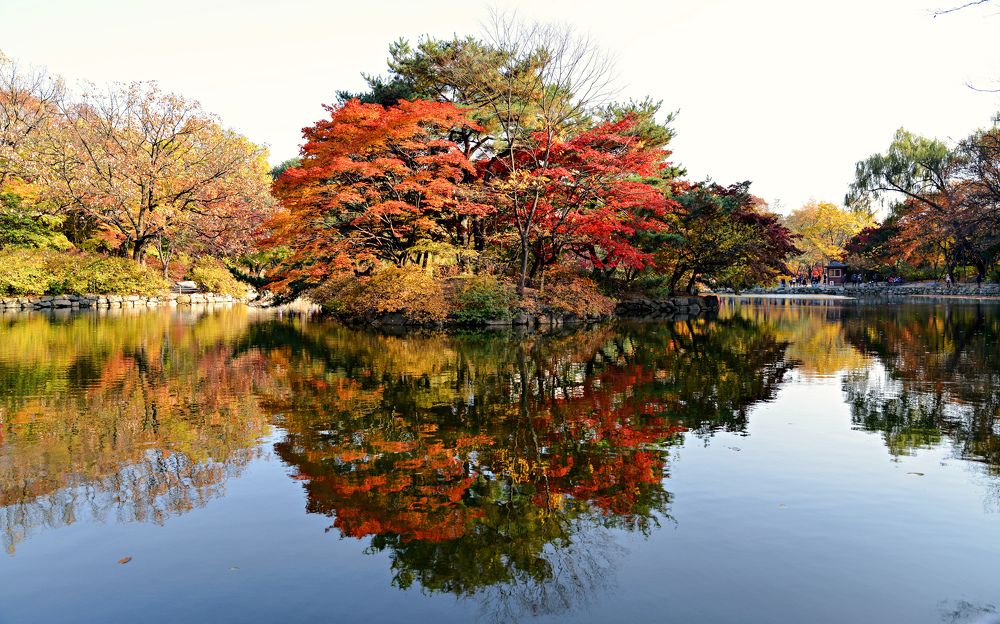 Photograph by Myunggyu Bae