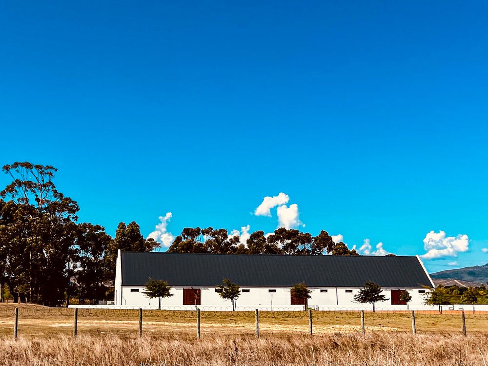 Photograph by Shannon