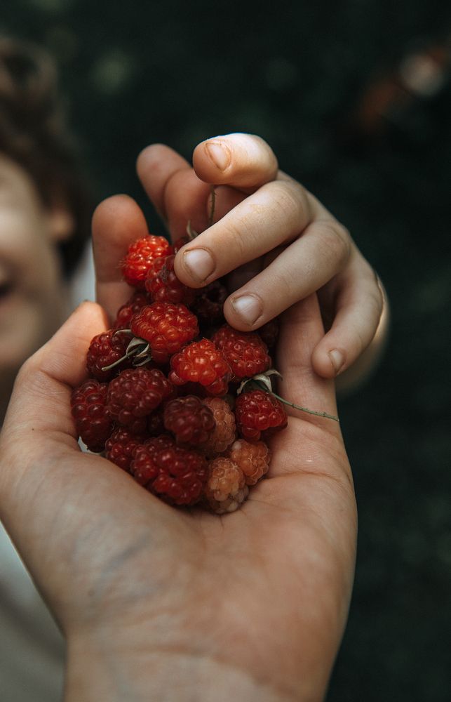 Photograph by Алиса Никитина