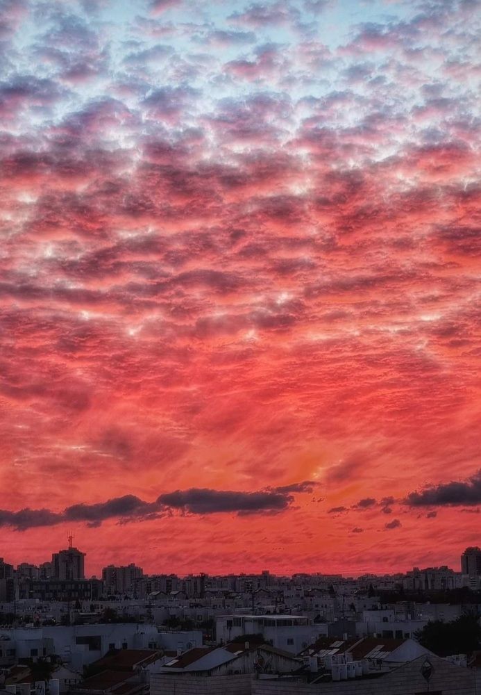 Photograph by Polina Svirida