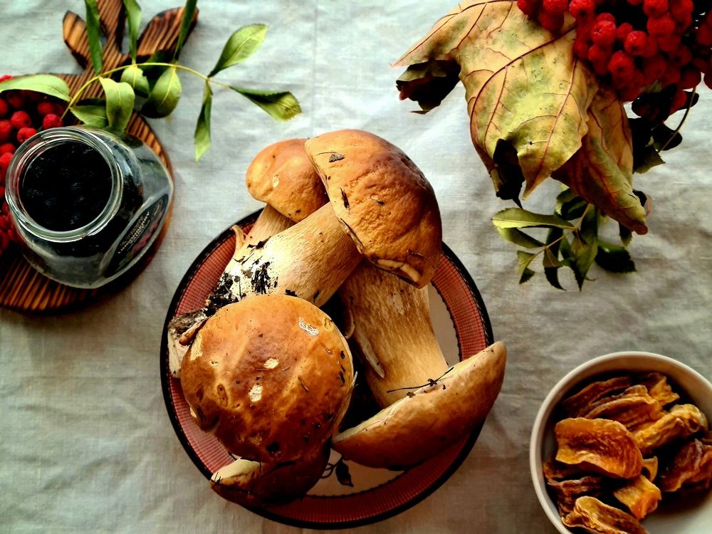 Photograph by Елена Квасова