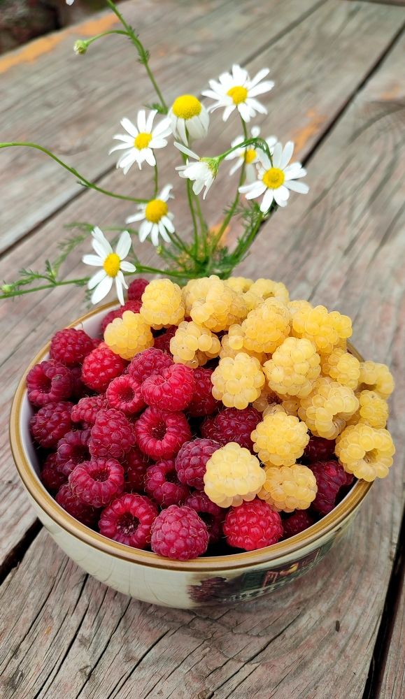 Photograph by Вахромова Елена