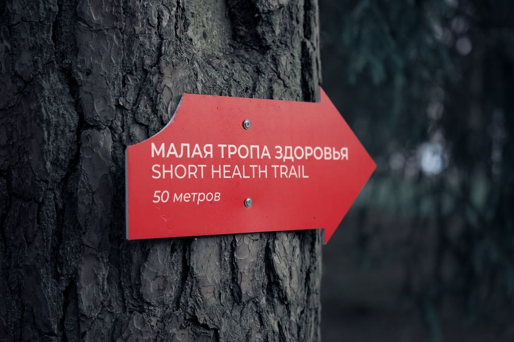 Фотография автора Gleb Kolobaev