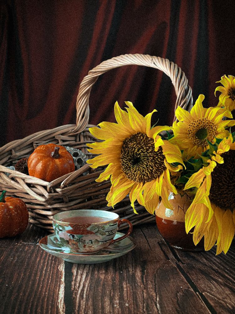 Фотография автора Anna NovaLova