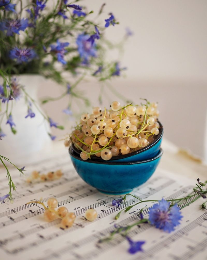 Белая смородина с васильками. White berries with blue flowers.