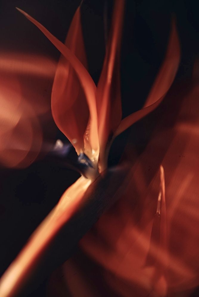 Photograph by Ирина Ломова