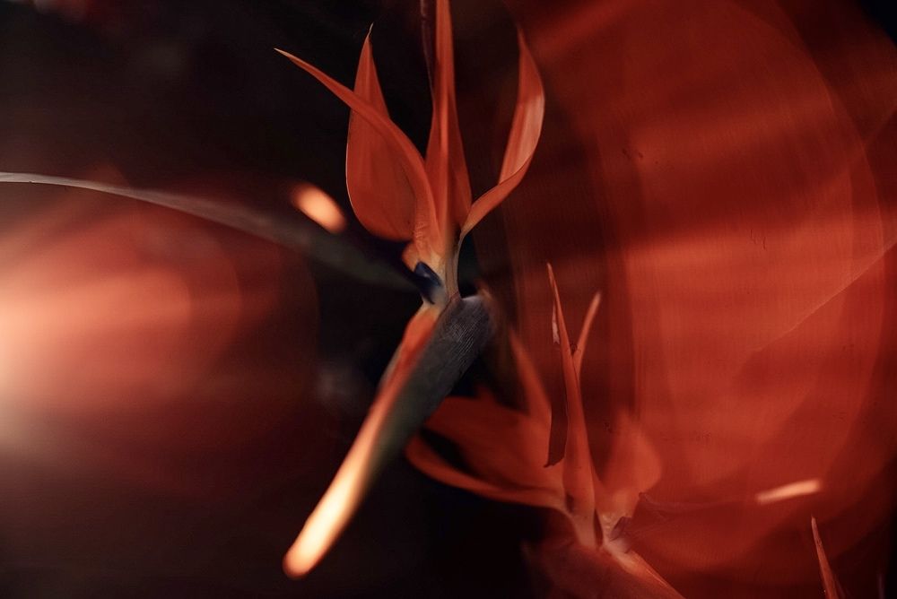 Photograph by Ирина Ломова