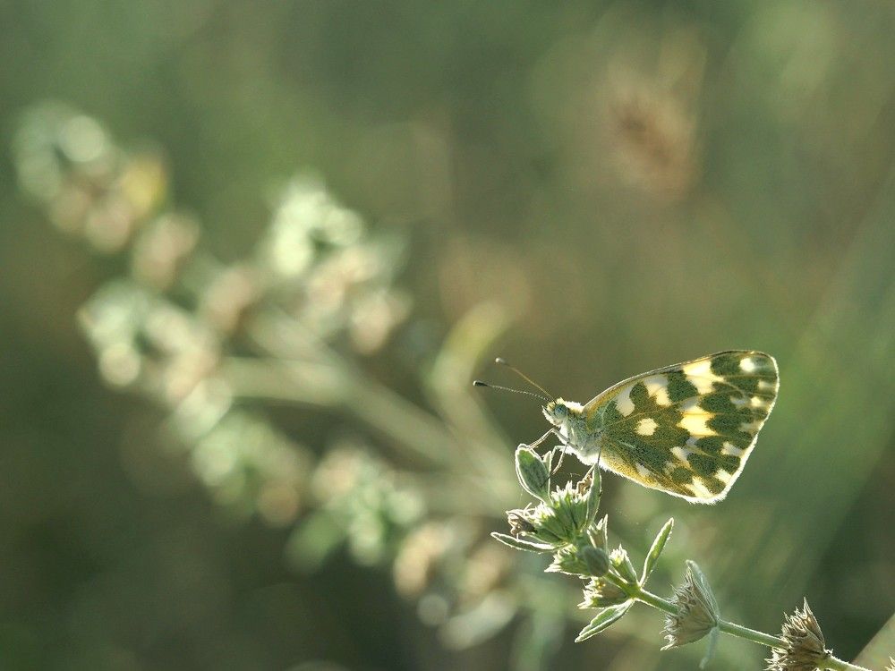 Photograph by Татьяна